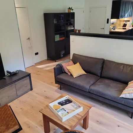 Villa Hogenberg Heiken Lichtaart Kasterlee Met Eigen Laadpaal Esterno foto