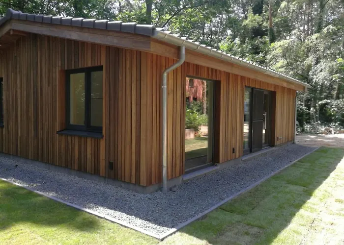 Hogenberg Heiken Lichtaart / Kasterlee